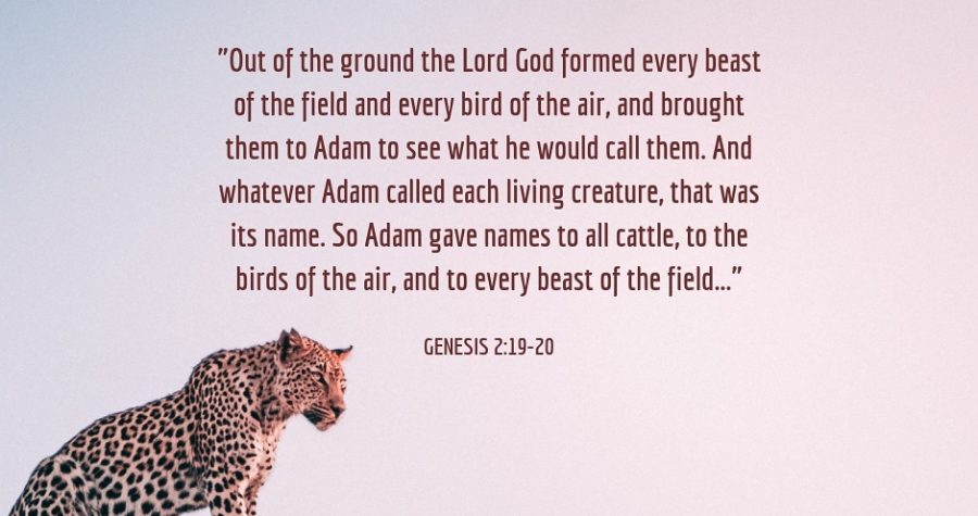 Word For Faith – January 11, 2019